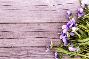Bouquet of purple violets on wooden table. Old boards with garden flowers