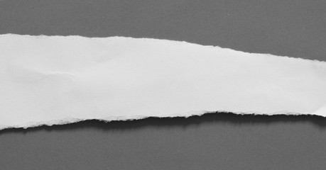 Obraz premium torn paper texture background, copy space.