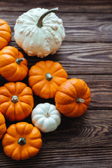 A group of miniature pumpkin on a wooden slat background
