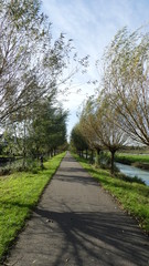 Fototapeta na wymiar asphalt path with trees and river