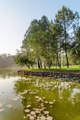 Scenic view of beautiful lake in park on summer day