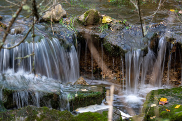 Herbst bei Möhringen Baden -Württemberg Deutschland 