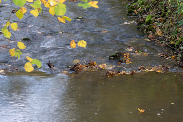 Herbst bei Möhringen Baden -Württemberg Deutschland 