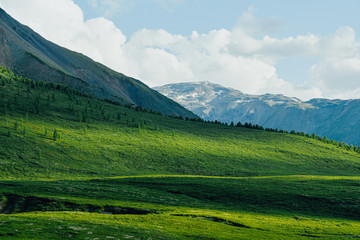 Obraz premium Soft hills with green grass under cloudy sky