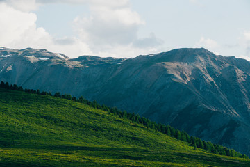 Soft hills with green grass under cloudy sky