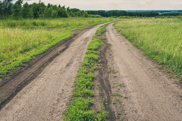 Dirt road in green field. Transportation in countryside.