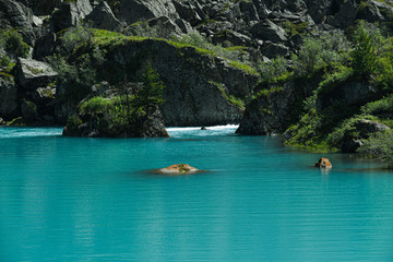 Fototapeta na wymiar Rock on shore of blue sea. Turquoise mountain lake, the surface of river