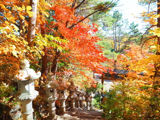 北海道の風景 秋の紅櫻公園