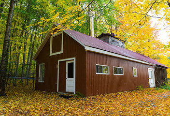 Fototapeta na wymiar Beautiful red sugar shack, also known as sap house, sugar house, sugar shanty. Small cabins or groups of cabins where sap collected from sugar maple trees is boiled into maple syrup. Quebec, Canada.