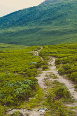 Dirt Hiking trail for trekking through green meadow