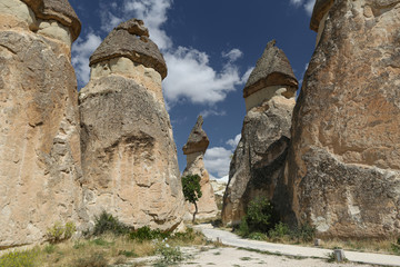 Rock Formations in Pasabag Monks Valley, Cappadocia, Nevsehir, Turkey
