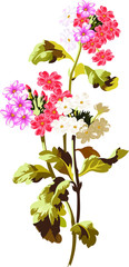 bouquet of flowers
