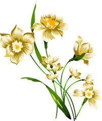 bouquet of yellow flowers isolated on white background