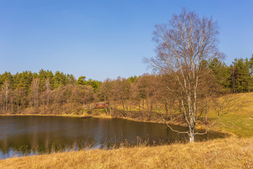 Wieckie Lake surrounded by forest, Poland.