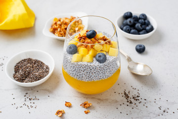 Vegan chia pudding with mango puree, blueberries and granola in a glass .