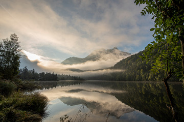 foggy morning - Schwansee