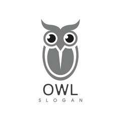 Owl bird illustration logo template vector