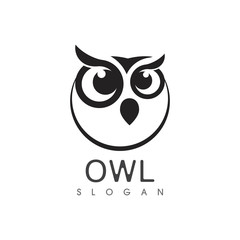 Owl bird illustration logo template vector