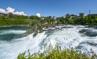 Powerful stream of Rhine Falls