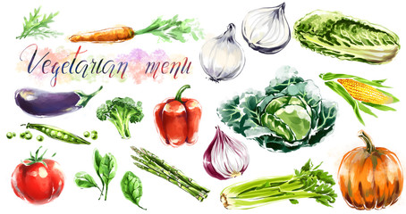 Big Collection, set of watercolor vegetables for vegetarians and healthy food lovers