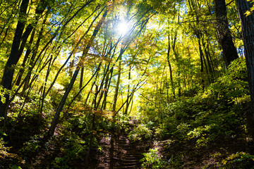 初秋の四尾連湖畔