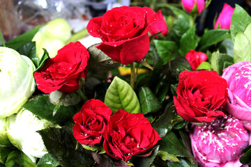Beautiful red roses among other flowers