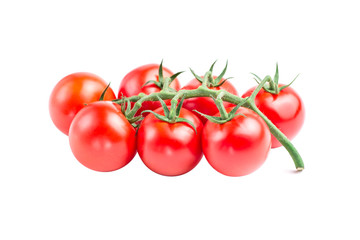 Cherry tomato branch isolated on white background. Beautiful red tomatoes on a white background, close up