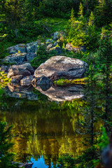 Fototapeta na wymiar Big stone at deep wild green forest lake