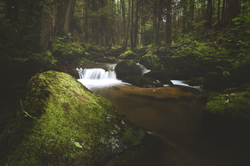 Dark and moody edit of a little creek in a magical fantasy forest in bavaria. Spooky mystical...