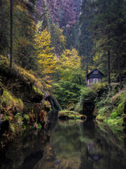 Fototapeta premium Eine Hütte im Wald - A cabin in the woods