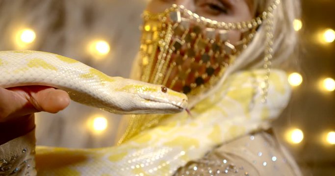 yellow python is moving tongue on hands of young pretty woman, closeup view, circus