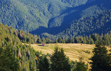 The landscape with the wooden hut and fence on the lawn with green fir trees, high mountains covered by forests. Touristic resort Carpathian national park, Ukraine Europe.