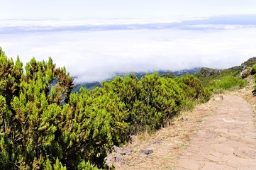 Fototapeta na wymiar Panoramic view of an isolated mountain road above clouds (Madeira Island, Portugal, Europe)