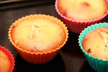 baked biscuit muffins with raisins in multi-colored silicone molds