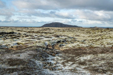 View over the moss and first snow covered lava field Kóngsfellshraun in the nature reserve Reykjanesfólkvangur near Hafnarfjörður / Hafnarfjördur with the mountain Húsfell.