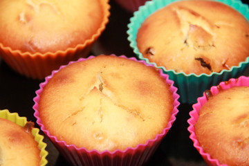 baked biscuit muffins with raisins in multi-colored silicone molds