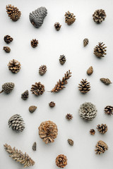 Fir and pine cones on a light background. The view from the top. Art. Minimalism.