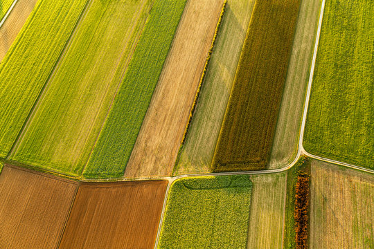 Cultivated fields, aerial view from the top