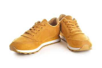 Pair of stylish shoes on white background