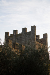 Alcudia wall, view from the terrace.