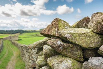 Shallow focus of a dry stone wall seen from the edge of an old, dirt track and bridleway in the heart of the Yorkshire Dales.