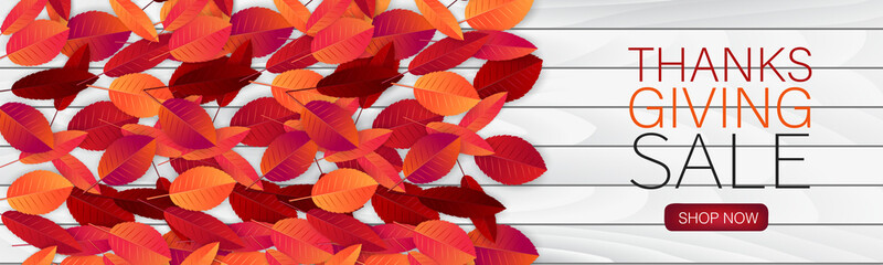 Fototapeta na wymiar Thanksgiving sale banner or website header. Realistic vector illustration with red and orange autumn leaves on torn out sheet of paper. USA national holiday.