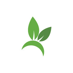 Leaf Logo Template vector symbol