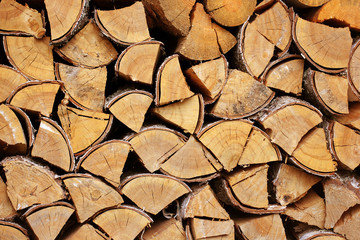 Background from wooden boards. Wood background