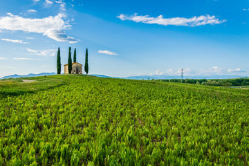 Fototapeta na wymiar Paesaggio collinare con Chiesina fra cipressi, San Pierino in Camugliano - Ponsacco - Toscana - Italia