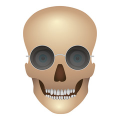 Skull with sunglasses