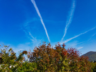 Cirrus clouds condensation traces of an airplane (lat. Cirrus traktus) against a blue sky and with autumn trees with yellow foliage.