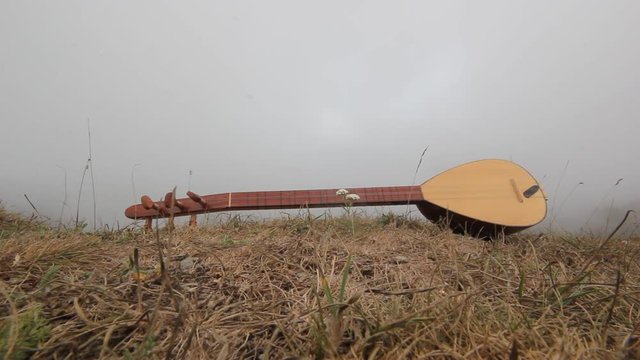 Turkish musical instrument baglama saz in nature