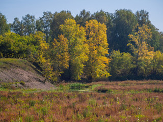 autumn landscape with trees and blue sky