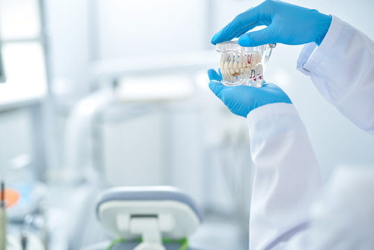 Photo of a teeth model in hands on a dentist room